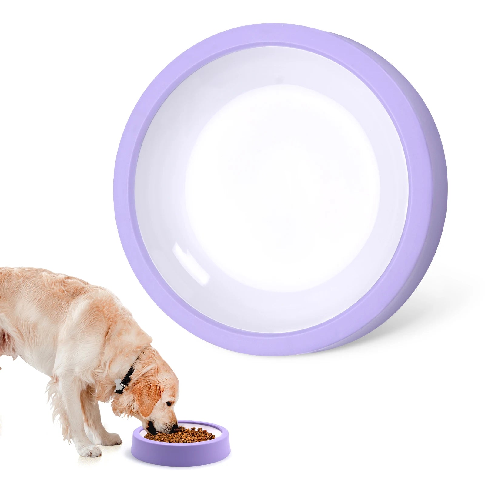 Anti-Gulp Slow Feeder Dog Bowl